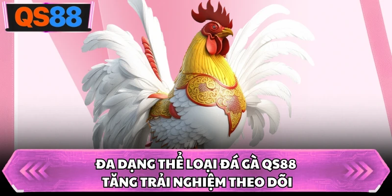 Đa dạng thể loại đá gà QS88 tăng trải nghiệm theo dõi
